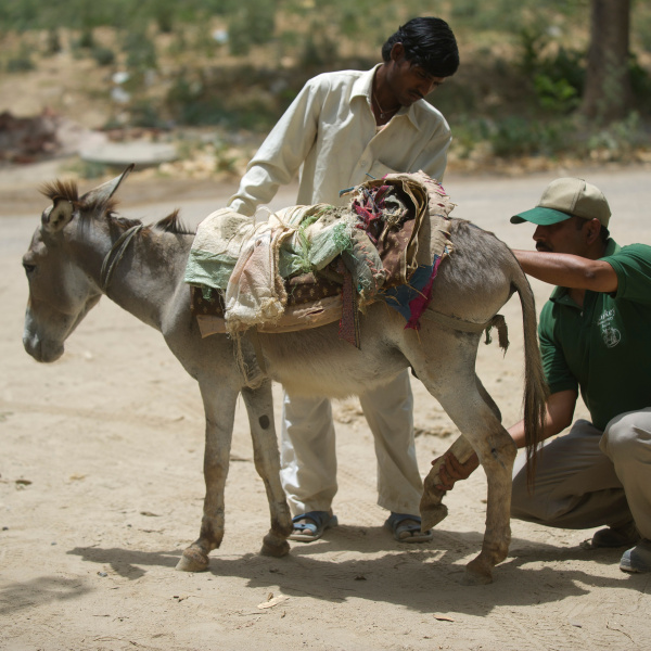 Gurgaon building site, India