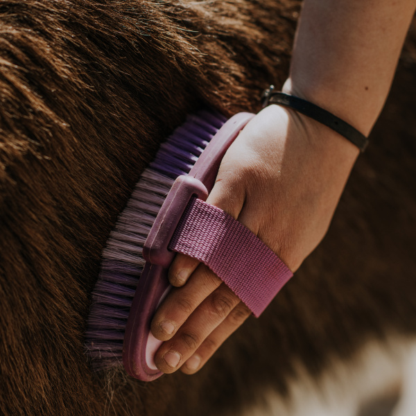 Donkey grooming brush