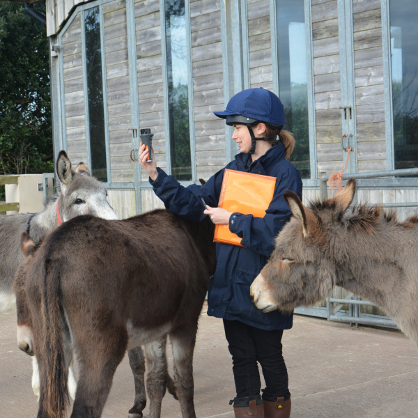 Research being carried out