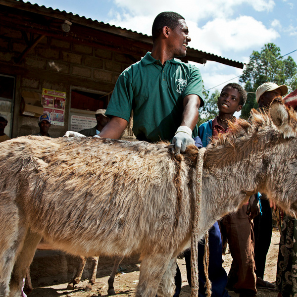 Disco gets treatment in Ethiopia