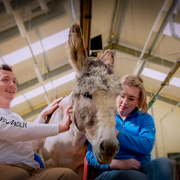 Donkey 'therapy' with cancer patients