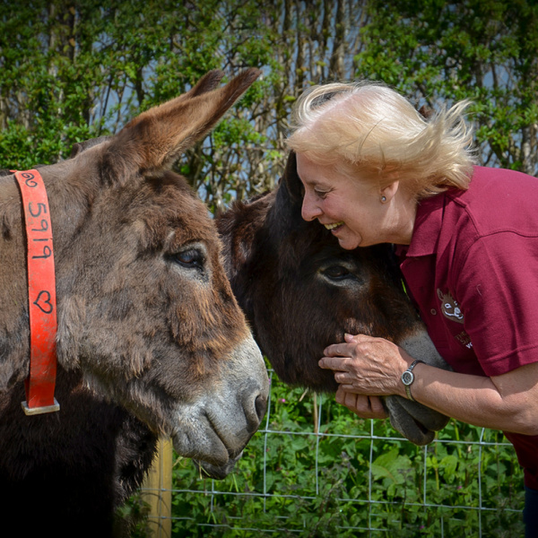 Volunteer with donkey