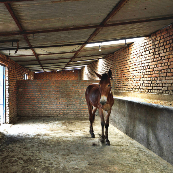 Shelter at a brick kiln in Nepal