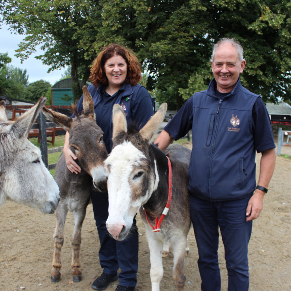 The Donkey Sanctuary Ireland's welfare team surrounded by three donkeys