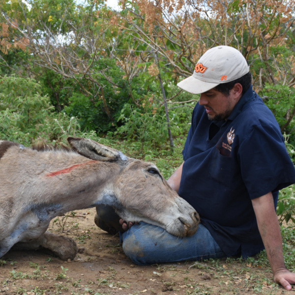 Cavalheiro resting his head on Eduardo