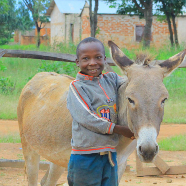 Boy with Tanzanian donkey