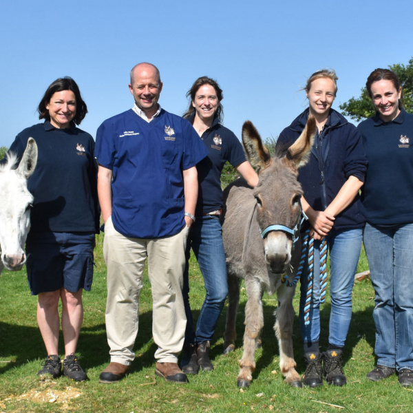 Rocky and Frank with vet team