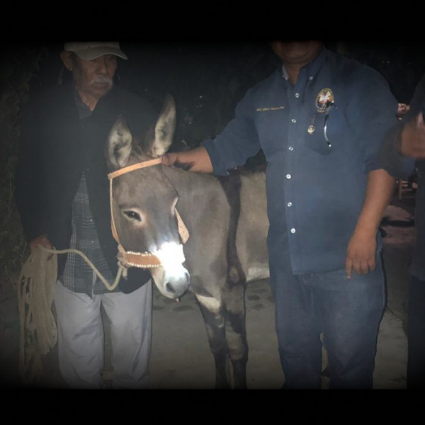 Jailed Oaxaca donkey with owner and rescuers