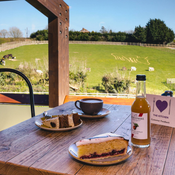 The Kitchen view across donkey paddocks