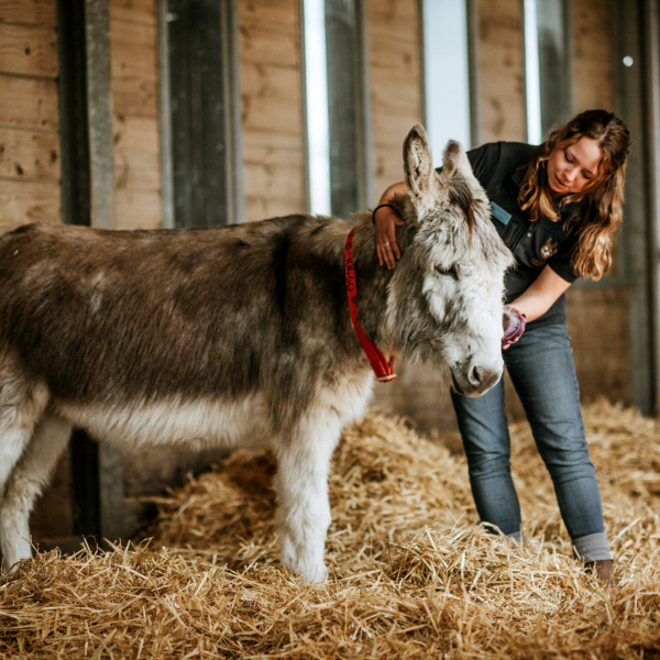 Ashley being groomed