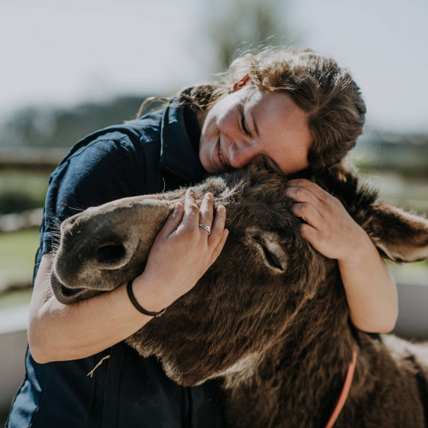 Groom hugging donkey