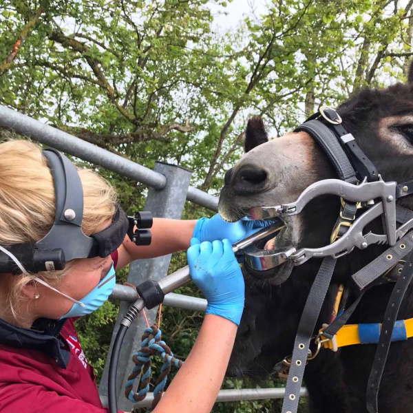 Katie Read carrying out dental work outside