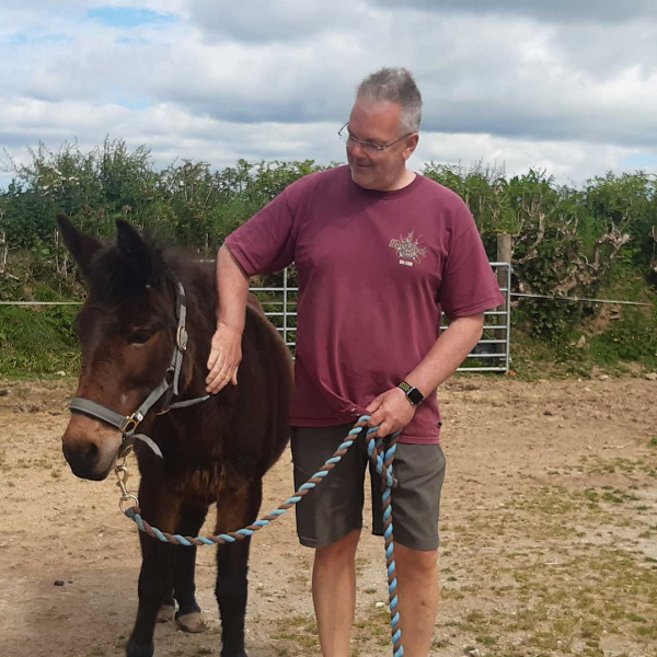 Woody the mule, with Guardian, Gene