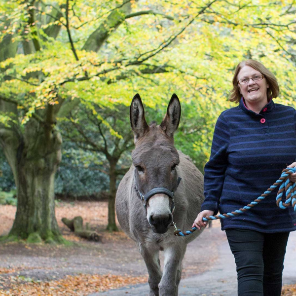 Leading a donkey during a Wellbeing With Donkeys session - alternative crop