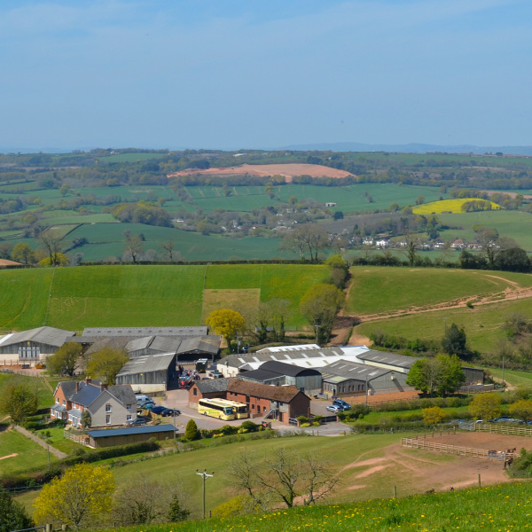 Scenic view of Woods Farm