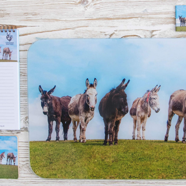 Five Donkeys - Collection