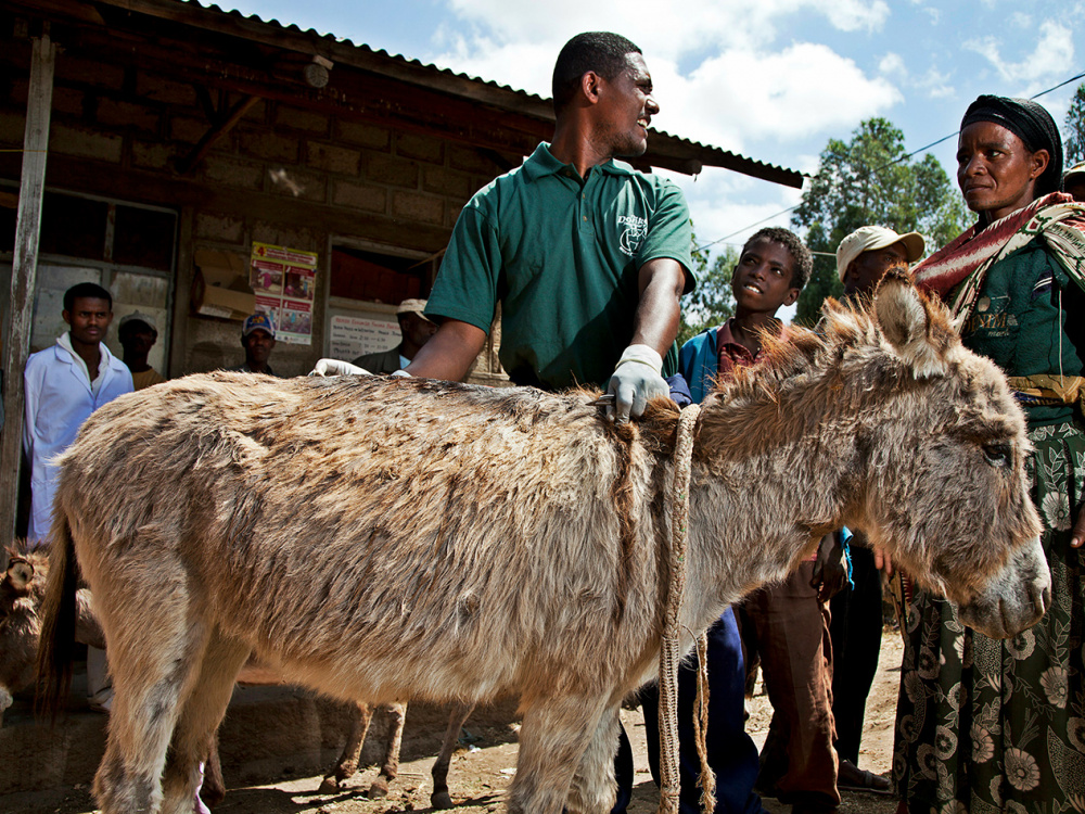 Disco gets treatment in Ethiopia