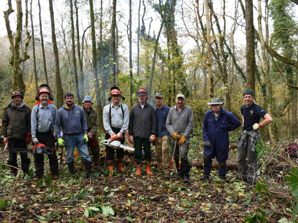 Organised conservation group working in Paccombe woods