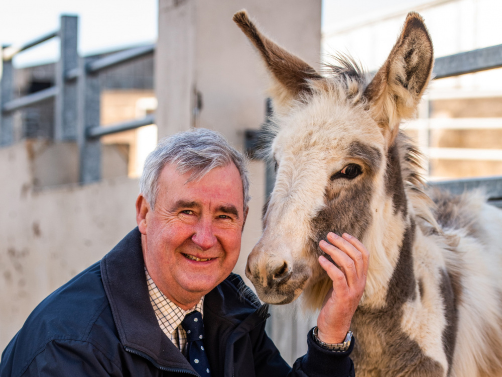 Peter Wright Yorkshire Vet with foal