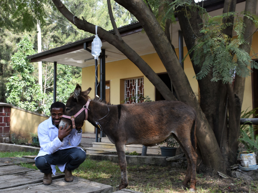 Tinishi being treated at TDS Ethiopia