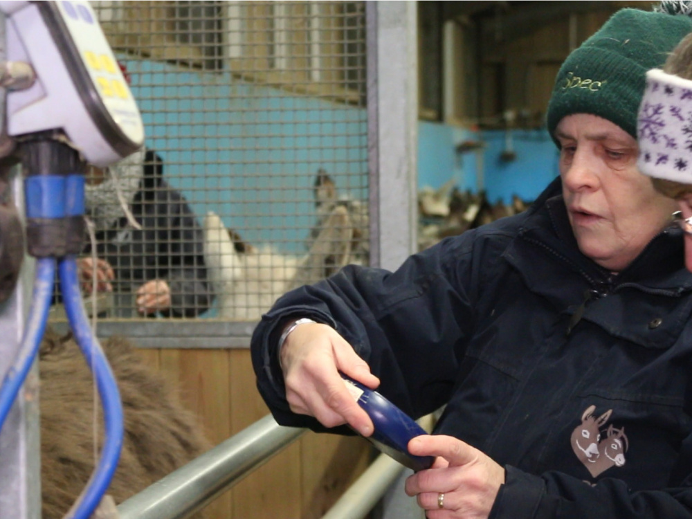 Microchip scanner at Woods Farm