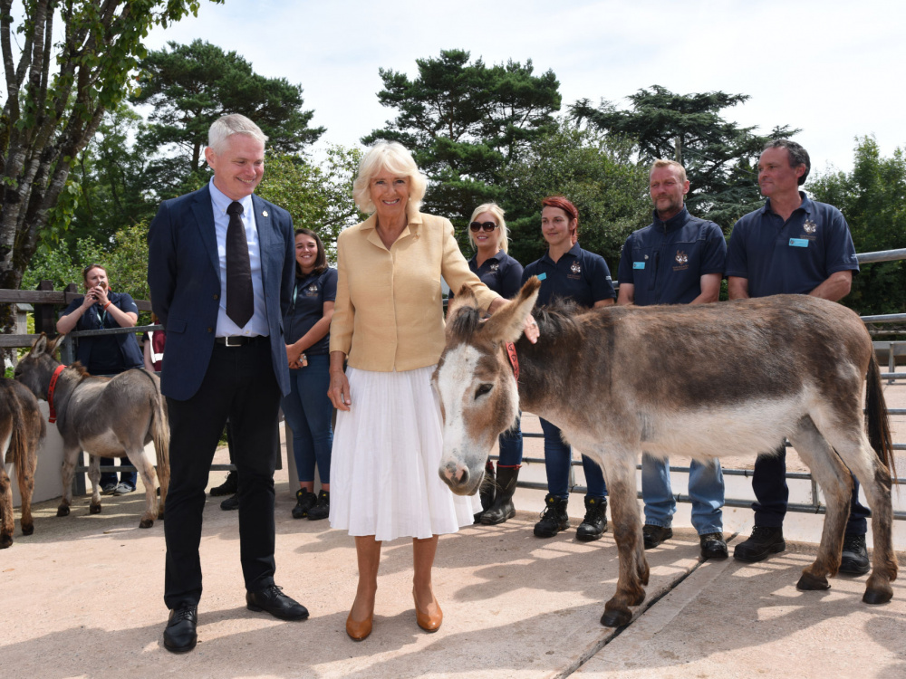 Her Royal Highness with Mike Baker and main yard donkeys