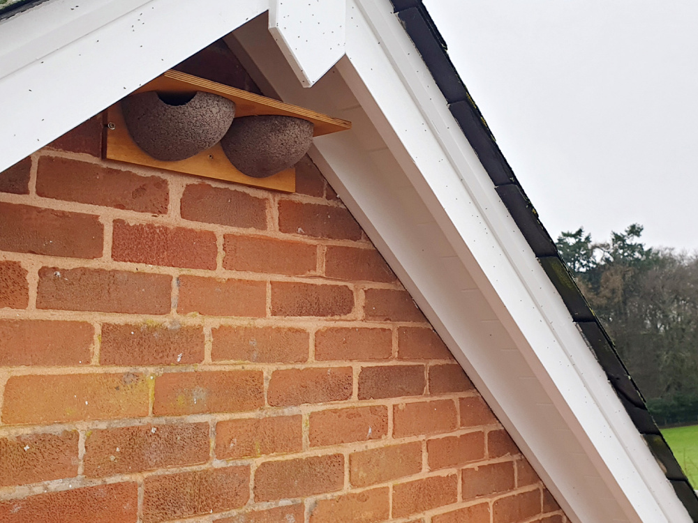 House martin nest box at Wood Farm