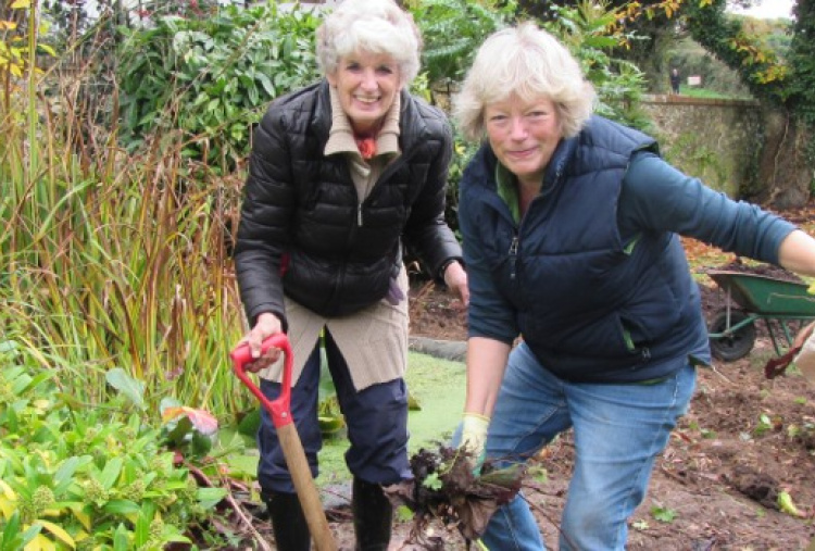 Gardening volunteers