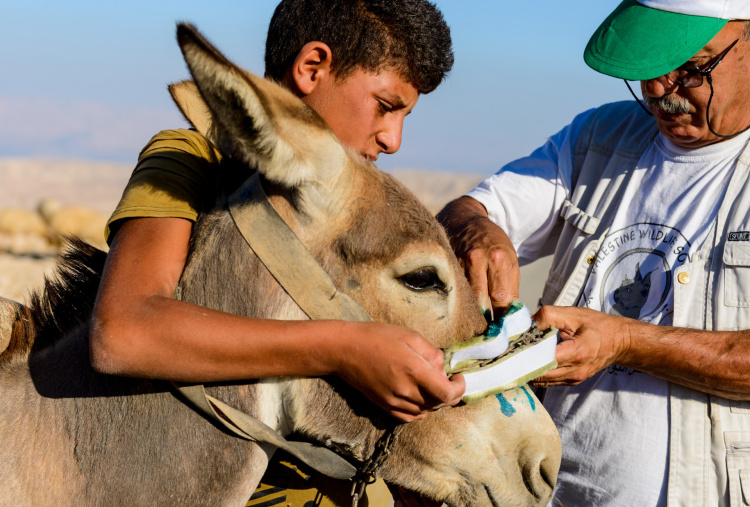 Deldel receiving wound treatment in Bethlehem