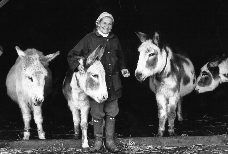 Dr Svendsen shows MBE to donkeys