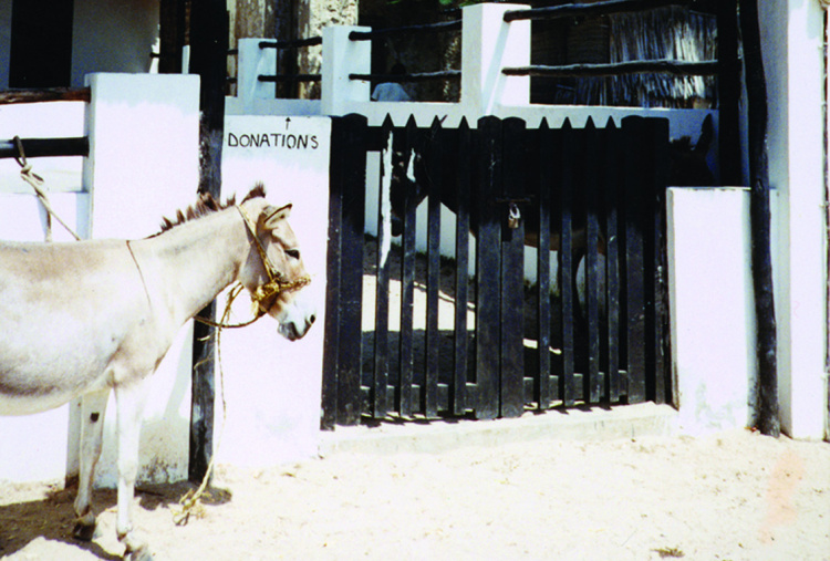 Lamu sanctuary old photo