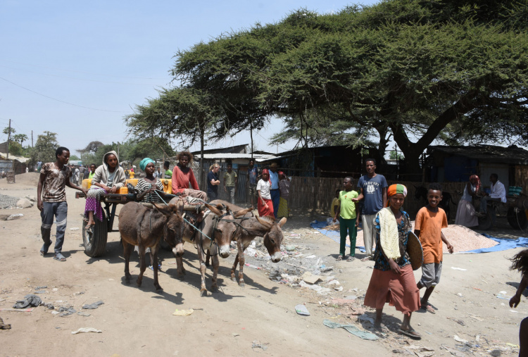 Children with water cart at Bulbulla waterpoint, Ethiopia