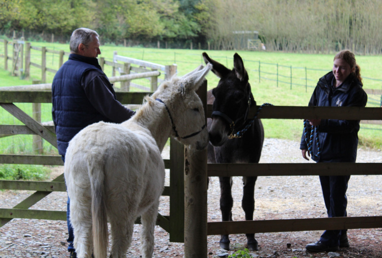 Frankie and Priscilla meet over fence