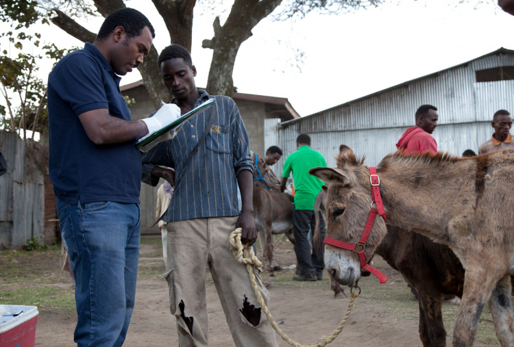 Dr Bojia at Ethiopia mobile clinic