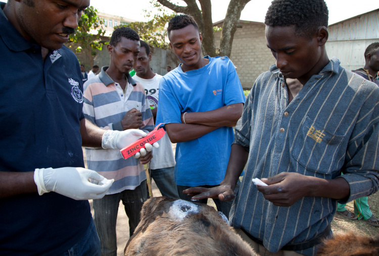 Dr Bojia demonstrates wound treatment