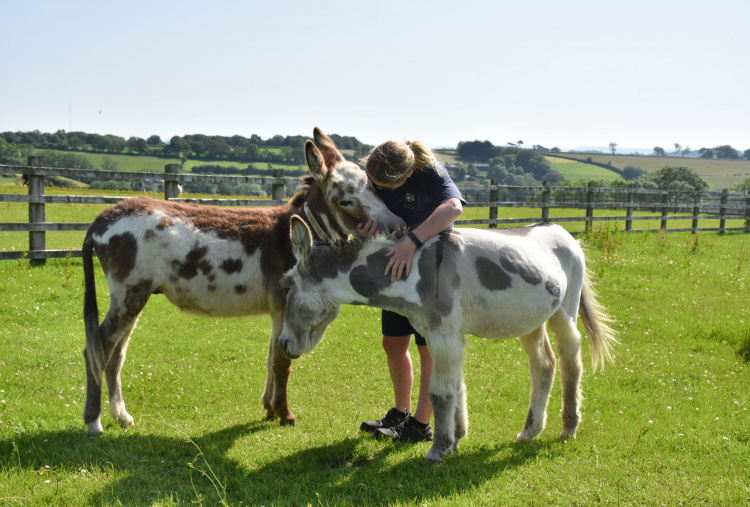 Ben K and Toby with groom