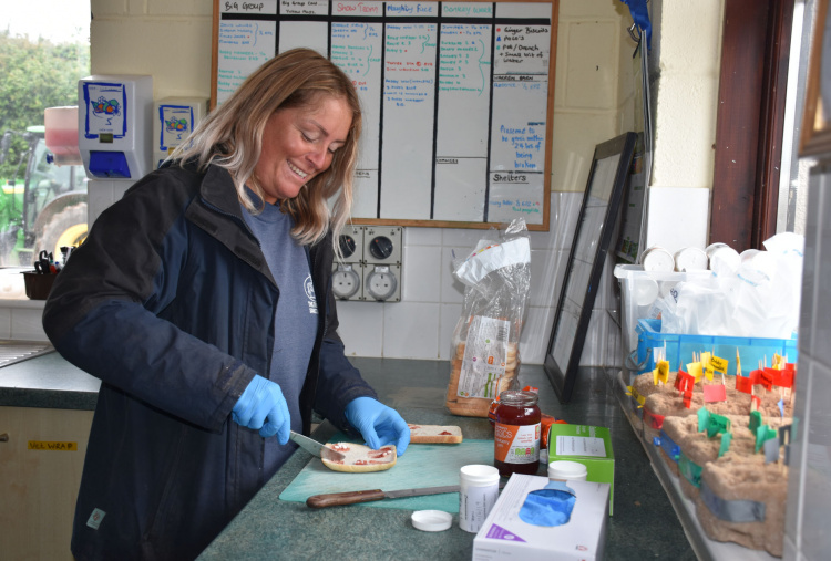 Bianca makes a sandwich for Patch's medication