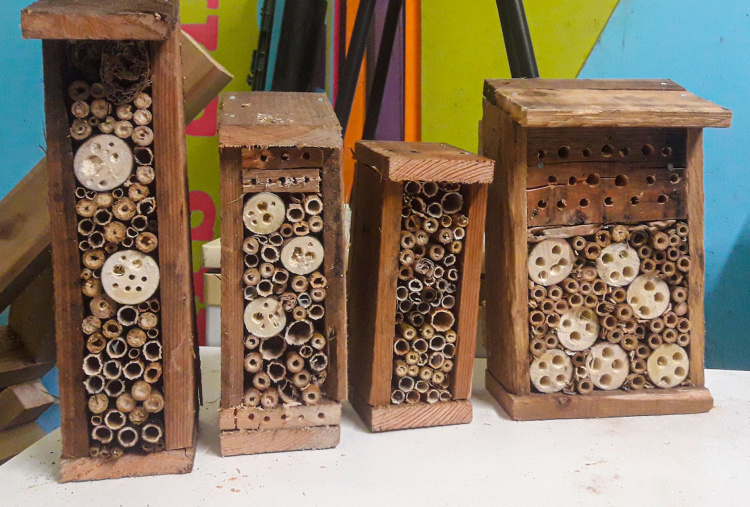 A bee hotels made by volunteers at The Donkey Sanctuary Sidmouth.