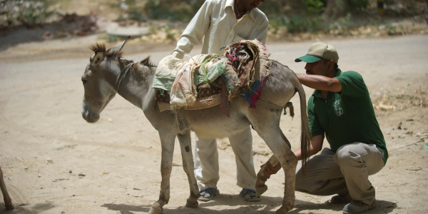 Gurgaon building site, India