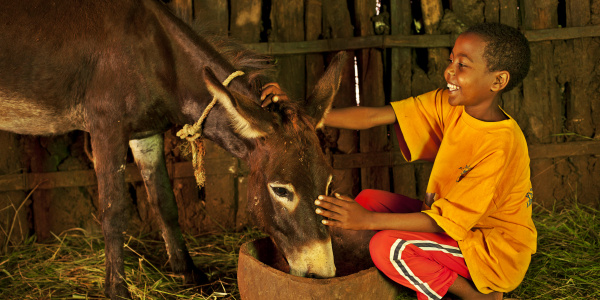 Abraham shows compassion towards his donkey in Ethiopia