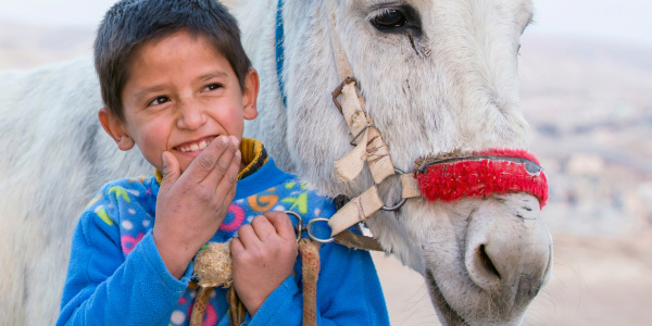 Young boy and donkey