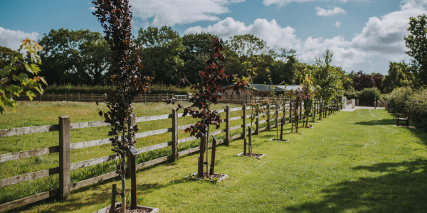 An in memory walkway around the sanctuary