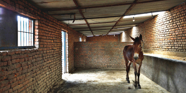 Shelter at a brick kiln in Nepal