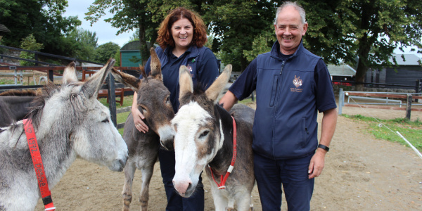 The Donkey Sanctuary Ireland's welfare team surrounded by three donkeys