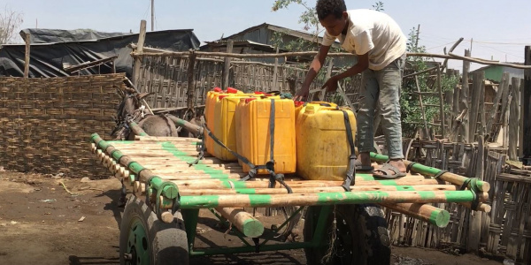 Child loading water cart, Ethiopia