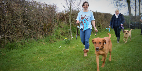 Dog walkers at the Dawdle for Donkeys