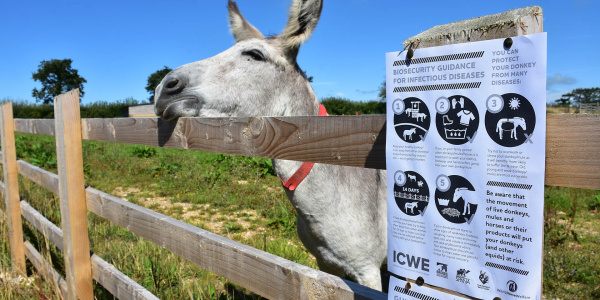 Biosecurity poster with donkey