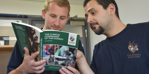 Vets reading Clinical Companion