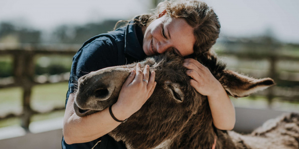 Groom hugging donkey