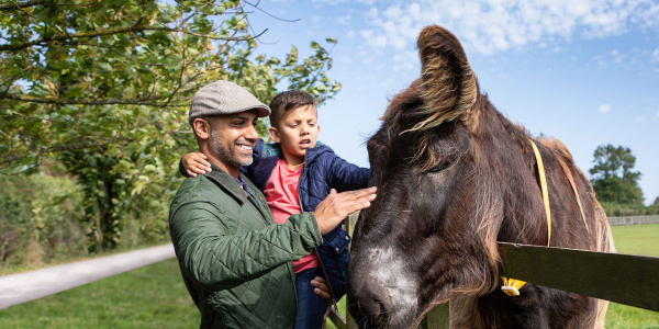 Visitors with donkey looking over fence